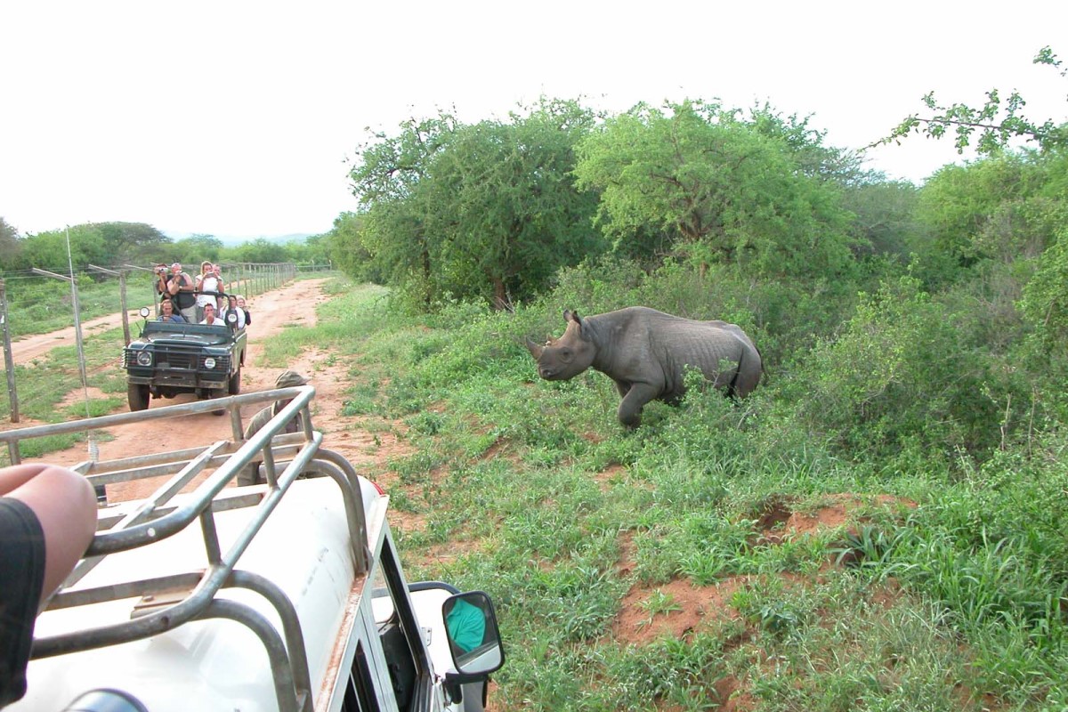 3 days Mkomazi National Park trip